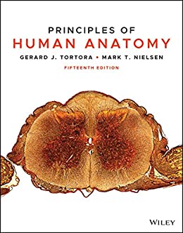 Principles of Human Anatomy, 15th Edition – PDF ebook Principles of Human Anatomy, 15th Edition – PDF ebook