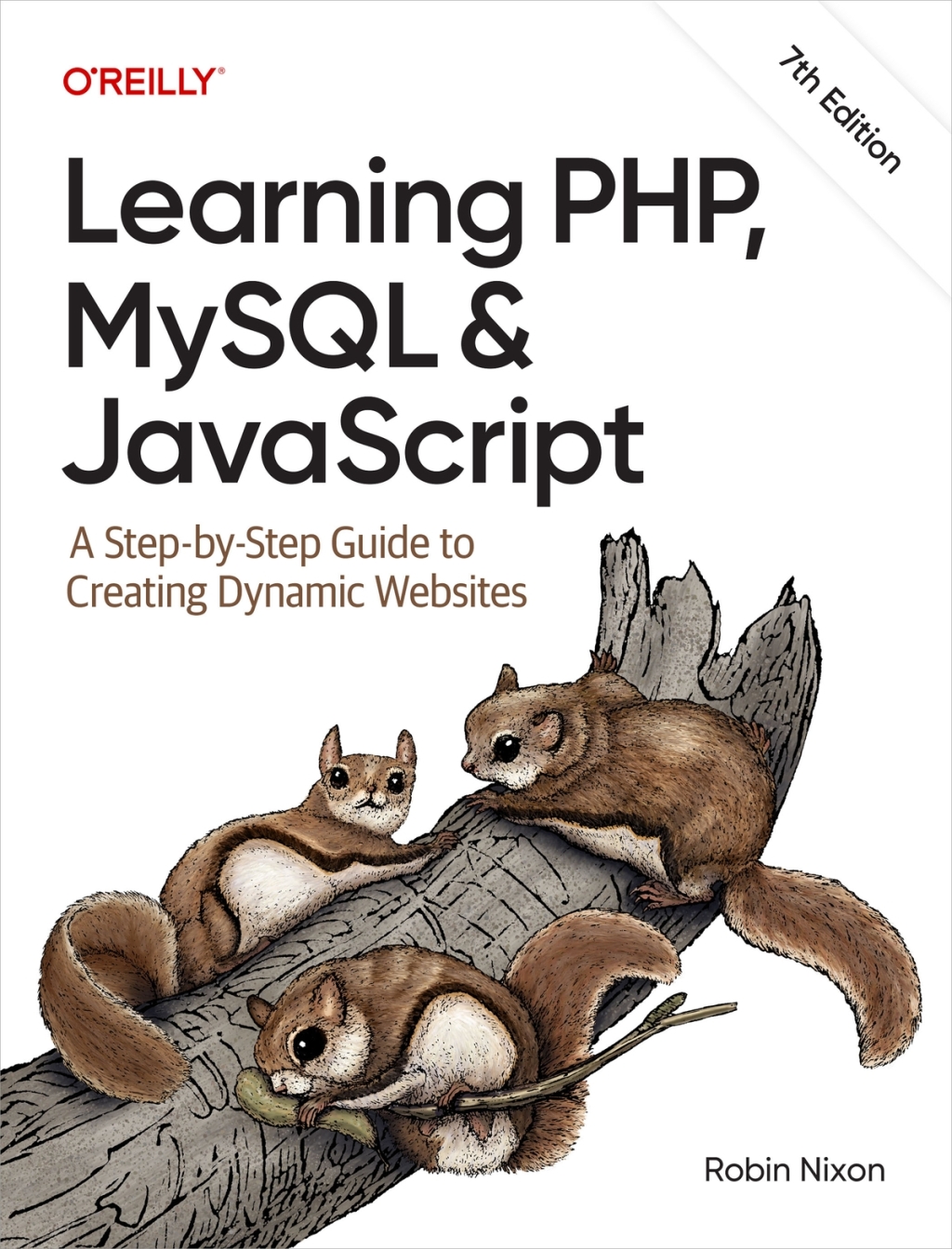 Learning PHP, MySQL & JavaScript 7th Edition – PDF ebook – Ebooks basic